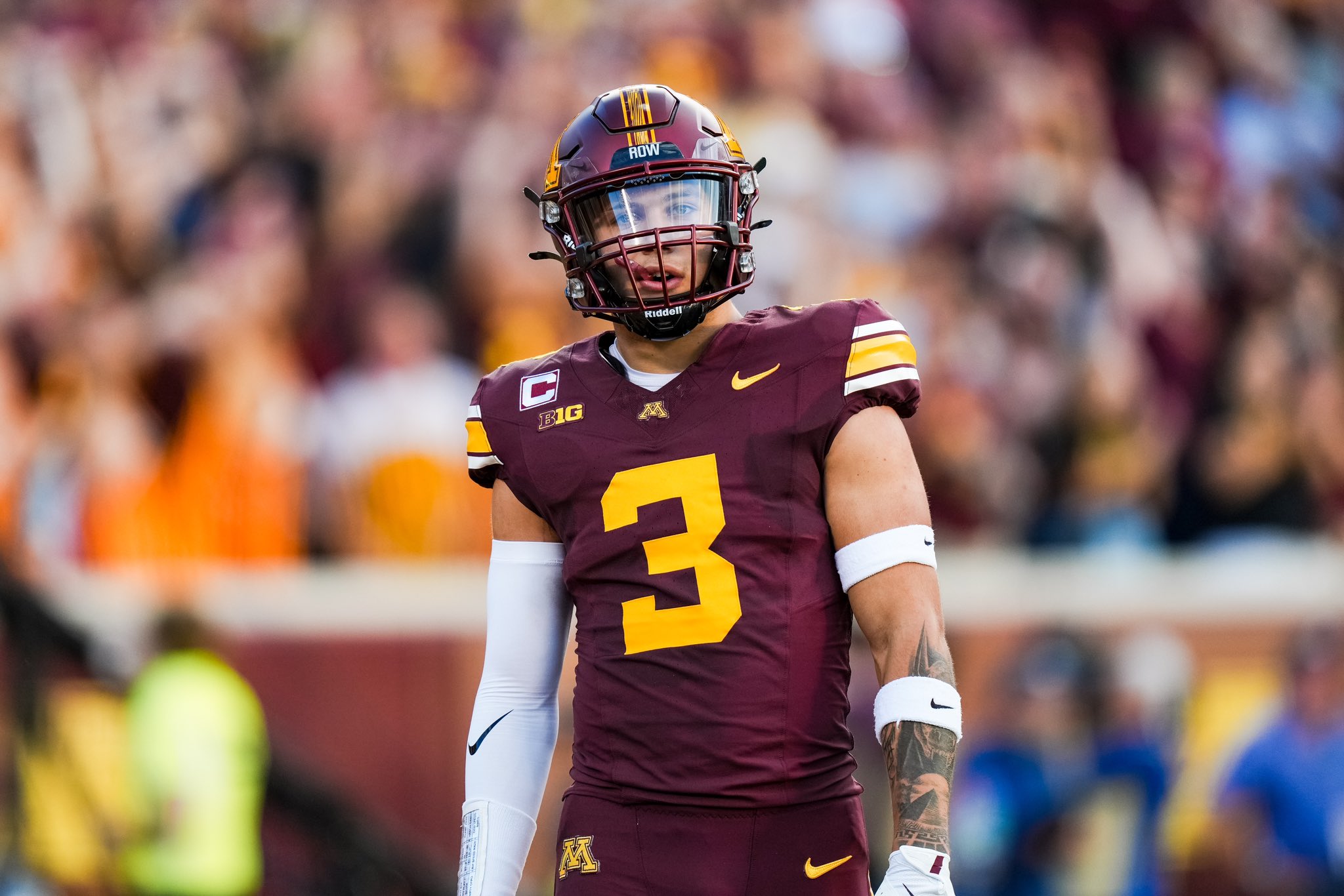 Gophers