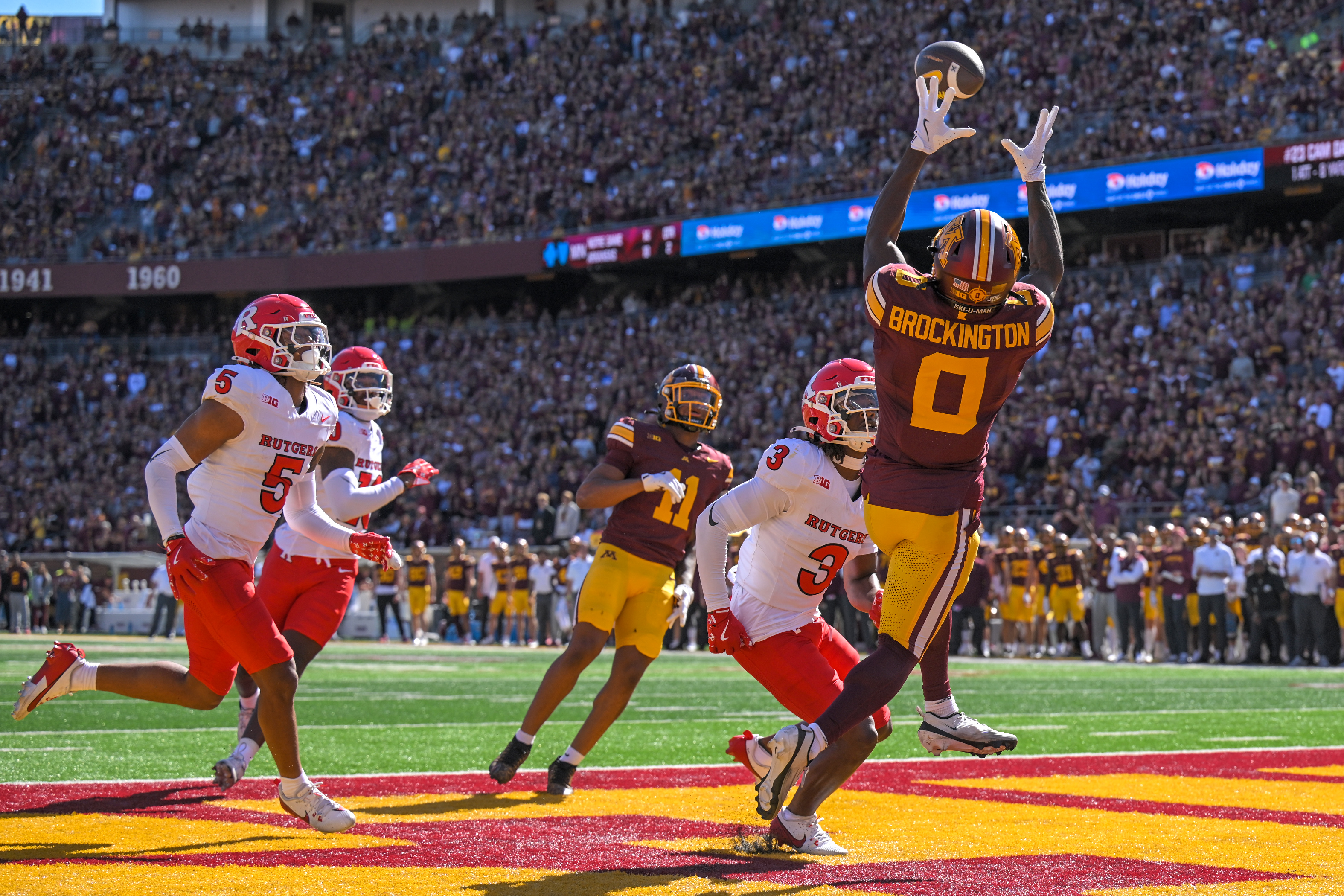 Gophers