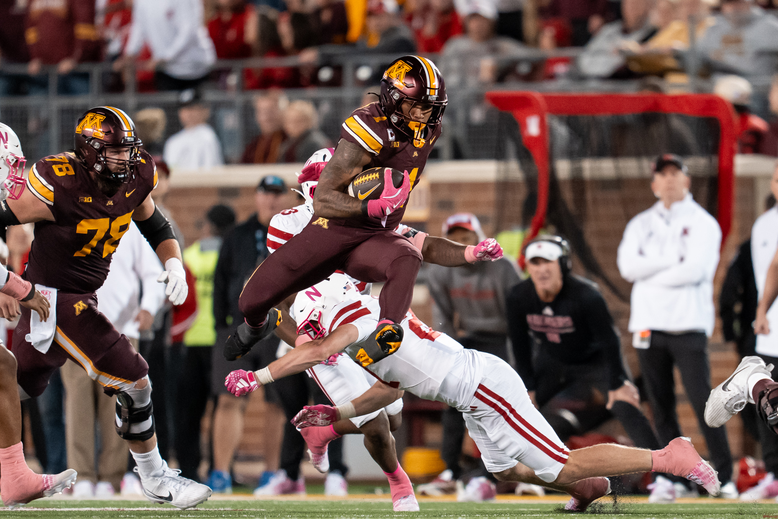 Gophers