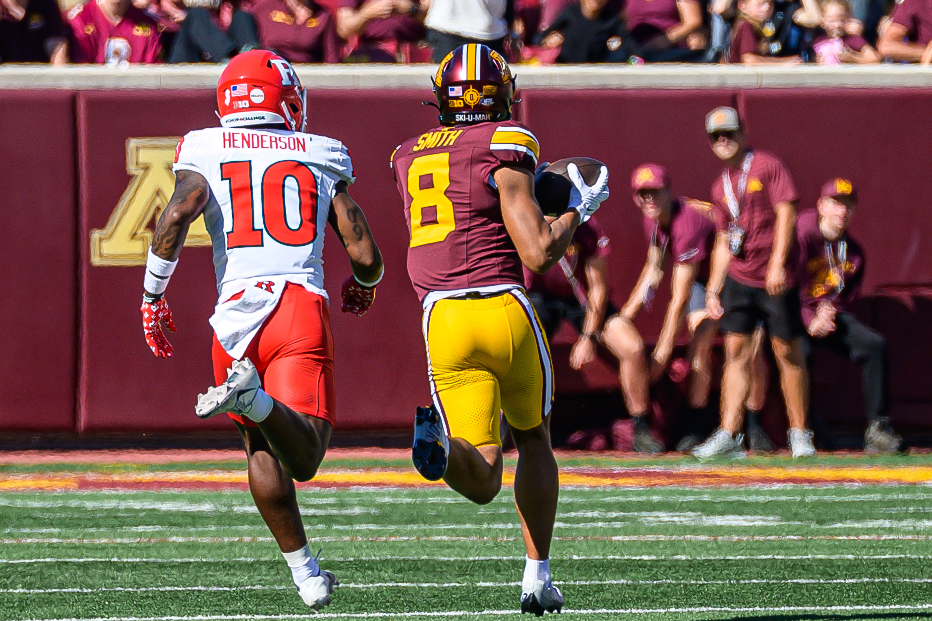 Gophers