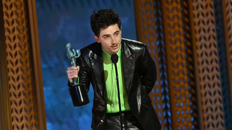 Oscars, Timothee Chalamet