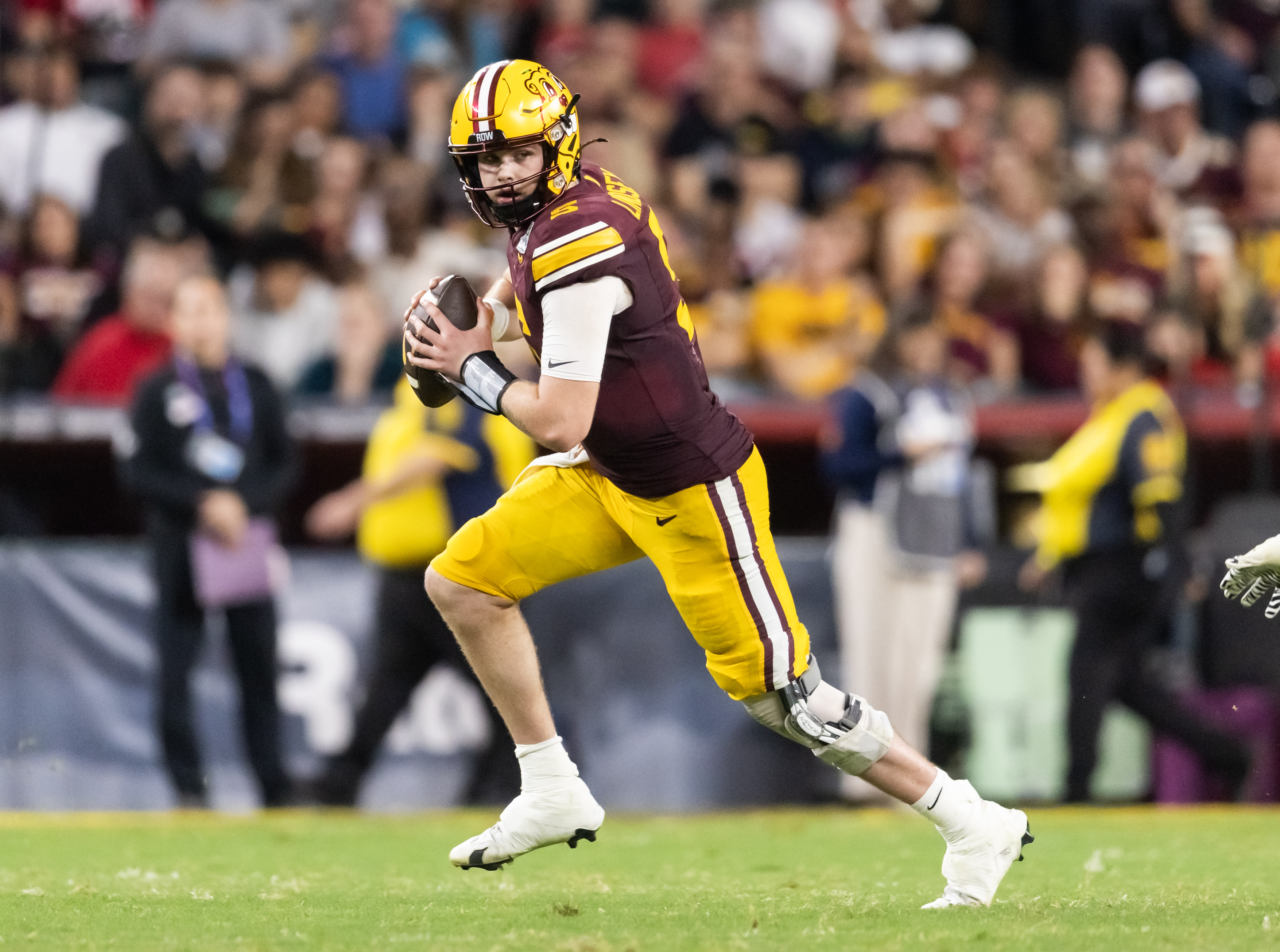 Gophers