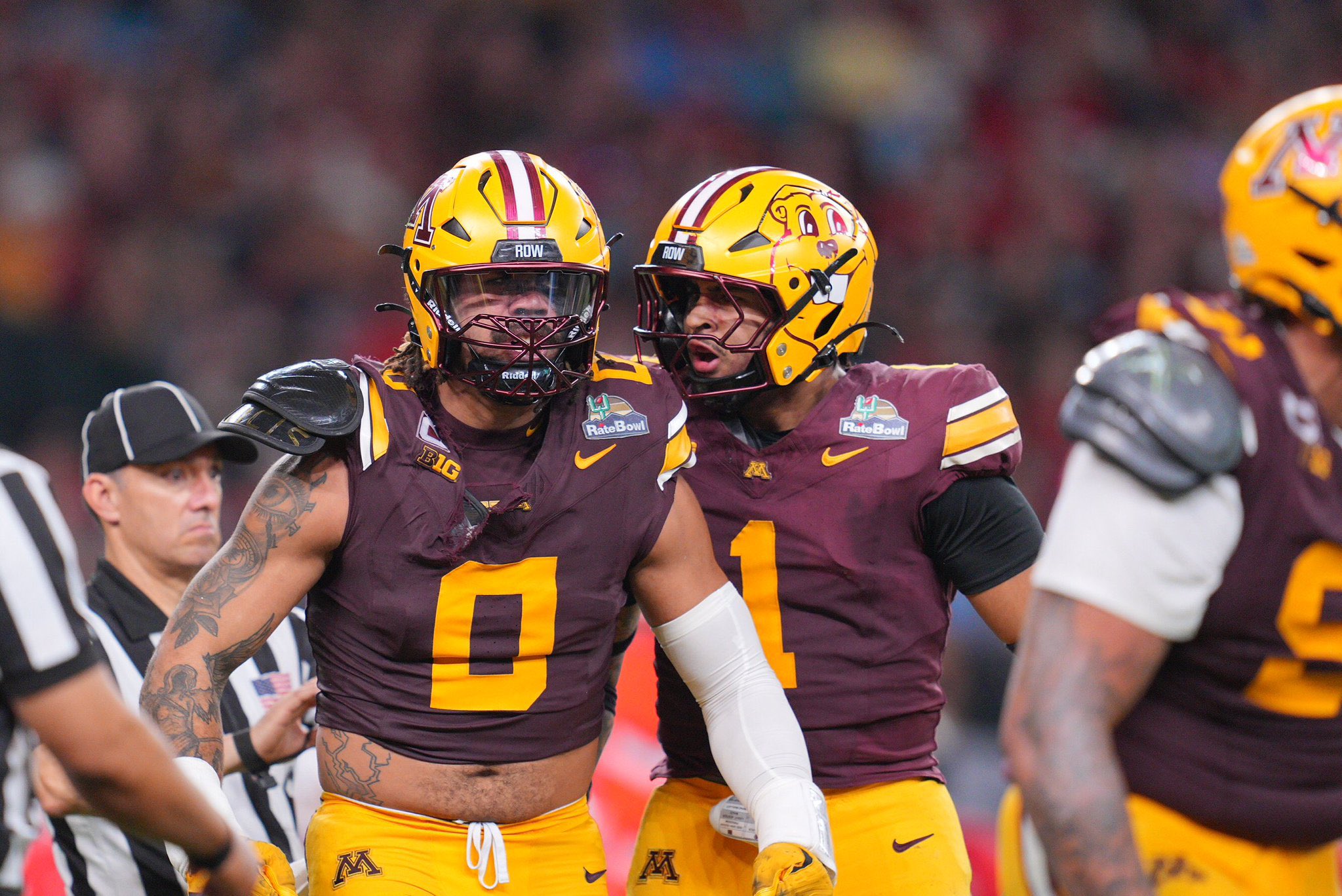 Gophers