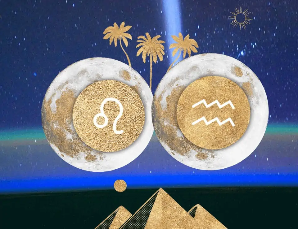 The North Node and South Node are moving into Aquarius and Leo. Asking us if we're truly willing to take on the risks that stand in the way of what we desire.