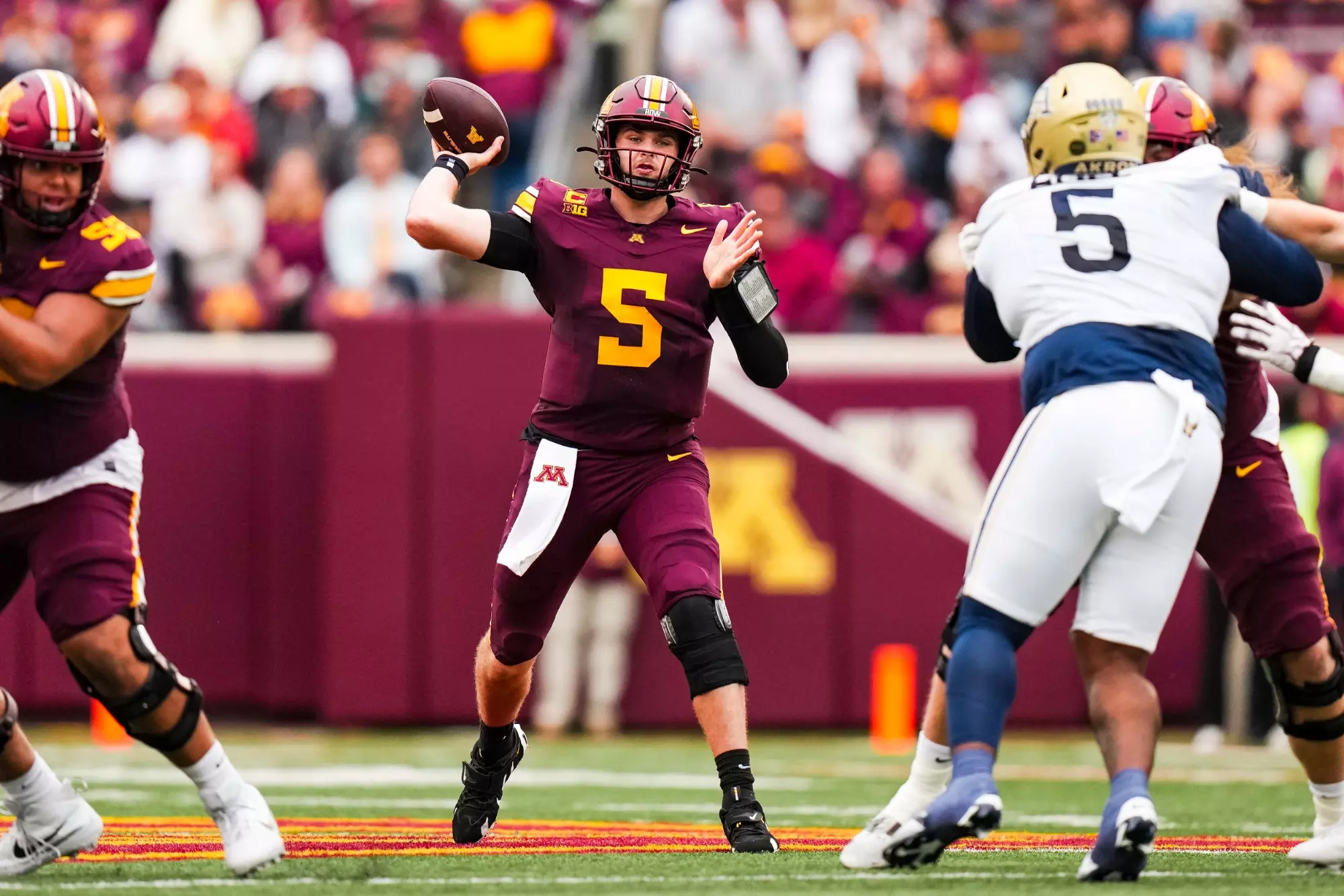 Gophers