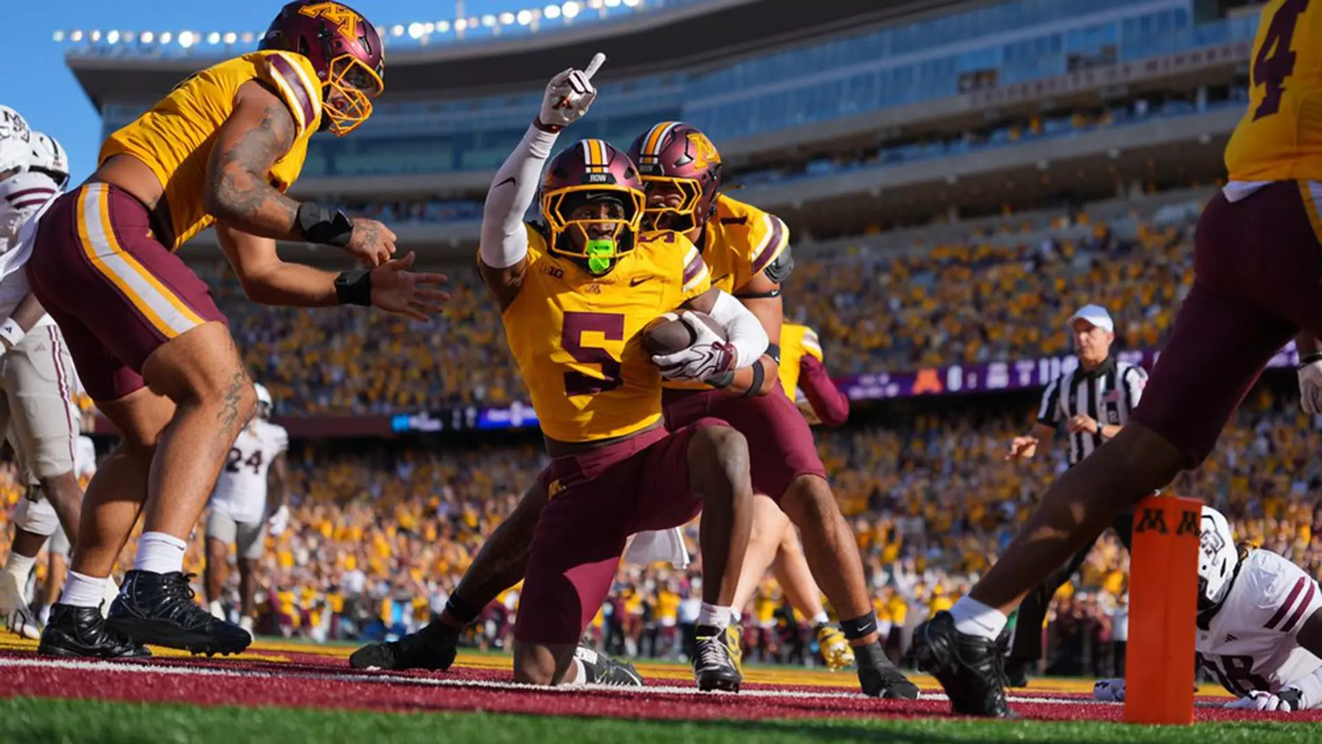 Gophers