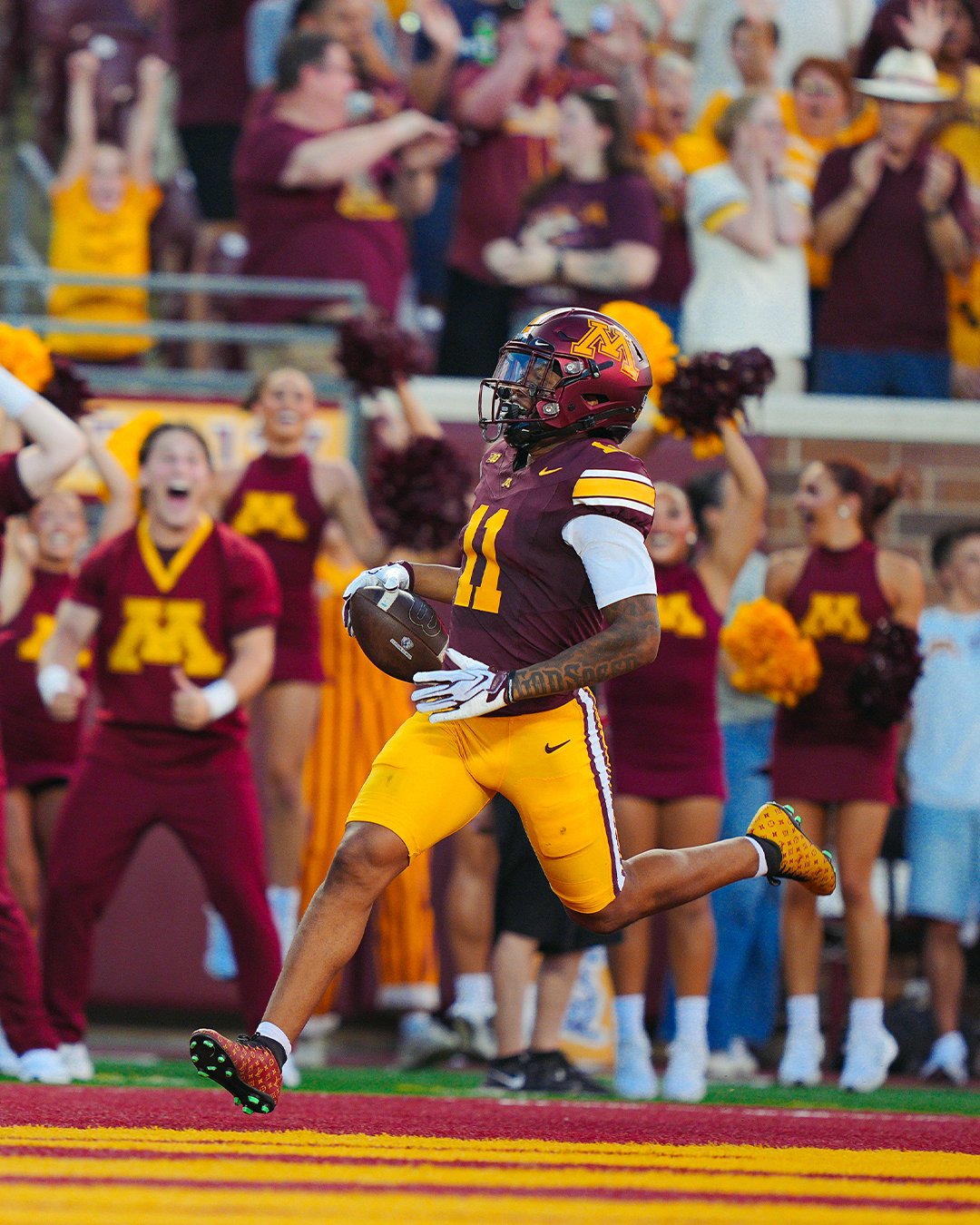 Gophers