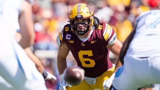 Gophers
